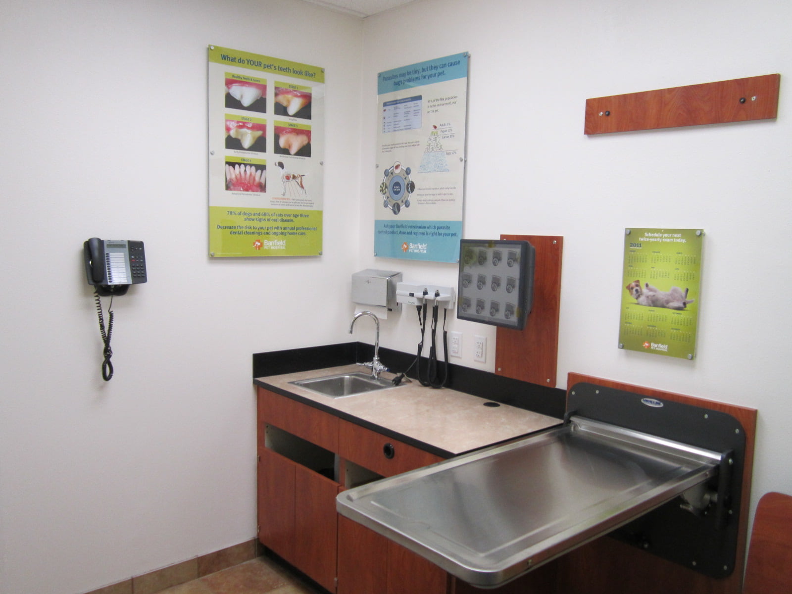 ASP_001 The Banfield Altamonte Springs exam room