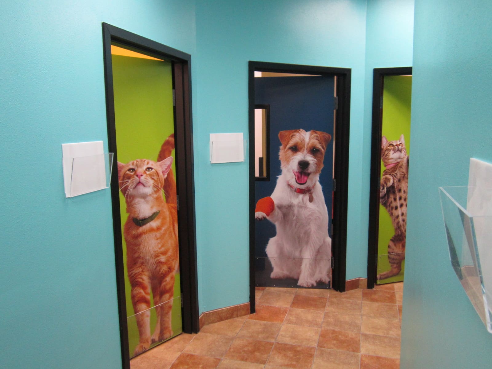 The Banfield Altamonte Springs exam room entrances
