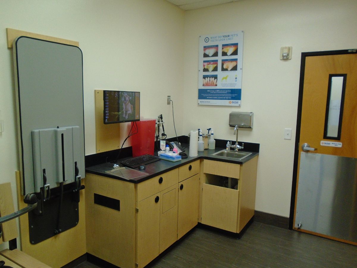 JEN_003 Inside of the Jensen Beach Banfield exam room