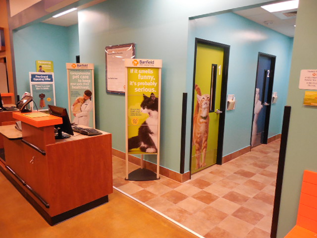 The Banfield Jupiter exam room entrances and front desk