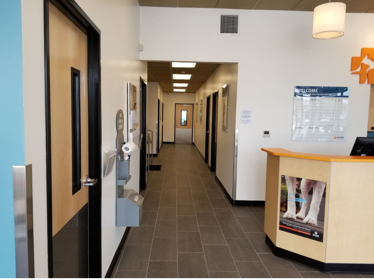 The Banfield North Miami Beach interior walkway to exam rooms