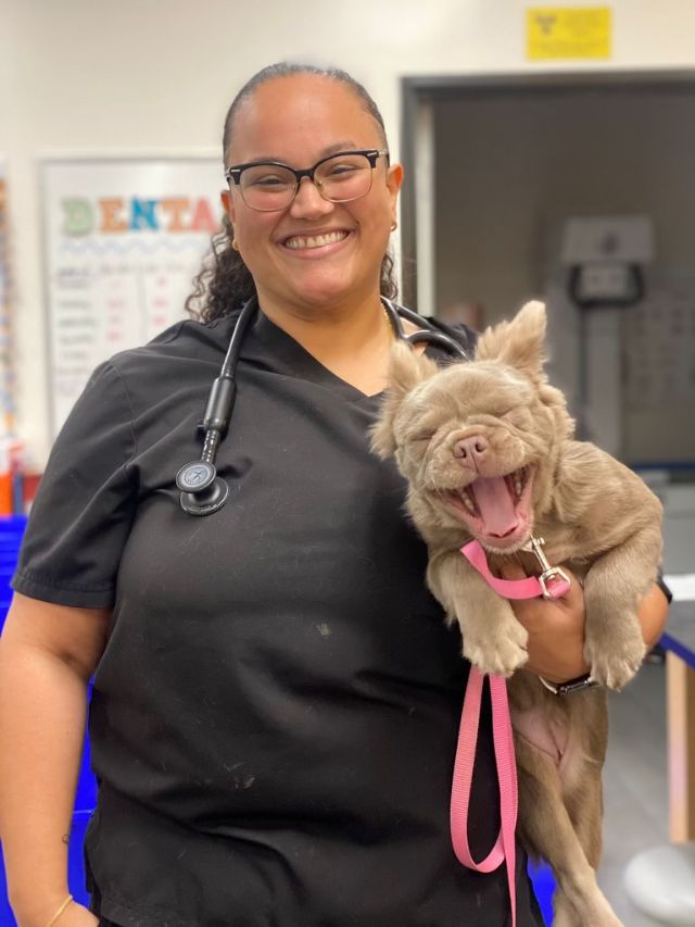 A smiling puppy being held by a Banfield Coral Gables PH associate