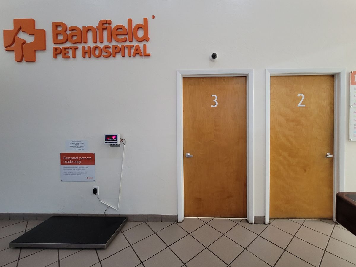 The Banfield Pet Hospital Millhopper exam rooms