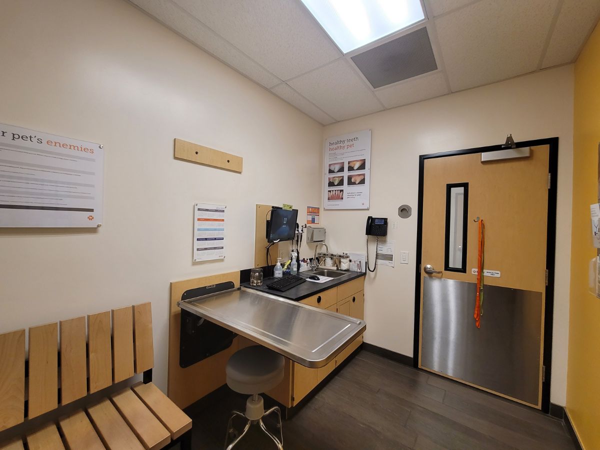The Banfield Pet Hospital: Roswell S exam room with table