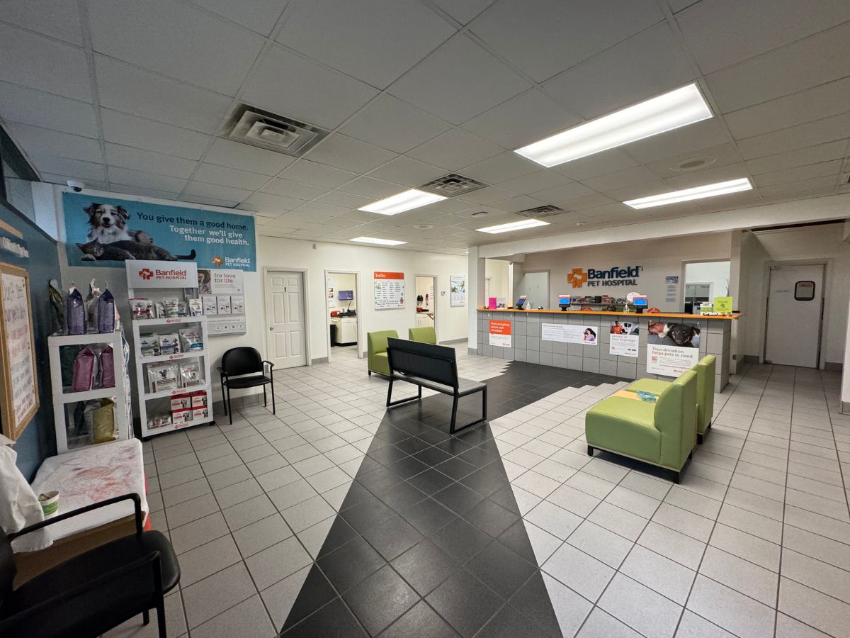 The Banfield Lansdowne front desk and lobby