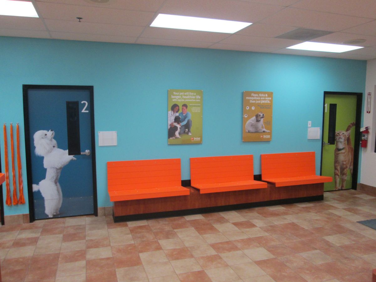 The Banfield Independence waiting room and exam room doors