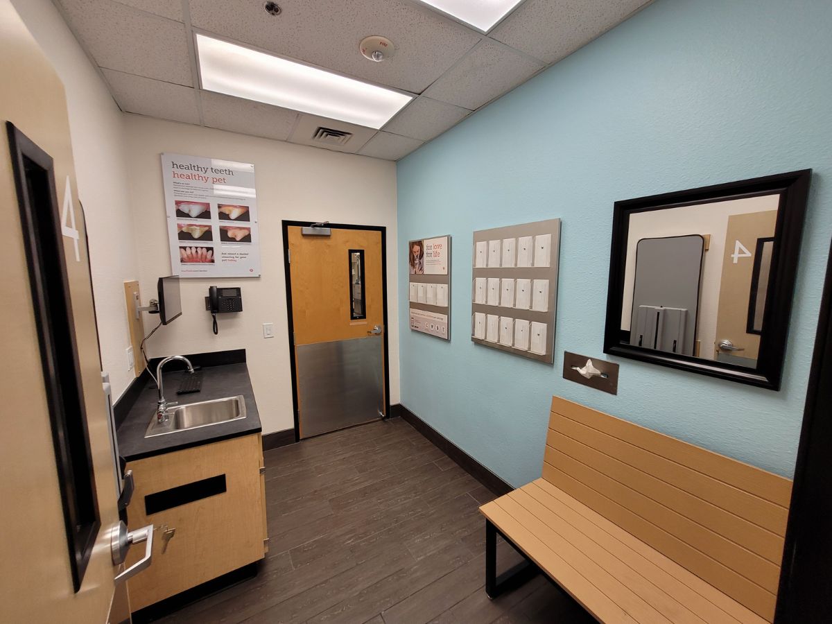 A Banfield Pet Hospital Ward Parkway exam room