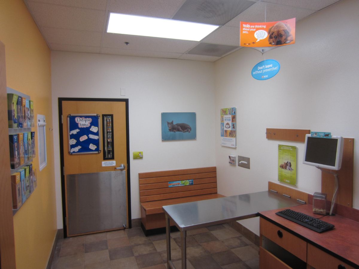 Inside of a Banfield West Covina exam room with table
