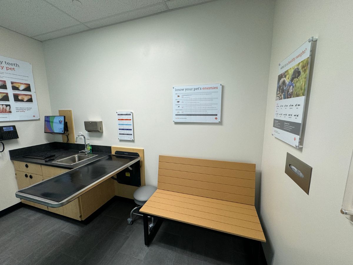 The Banfield Pet Hospital: Chino Spectrum exam room with table