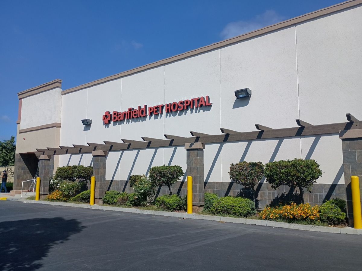 The Banfield Pet Hospital: Oxnard Rose Building exterior