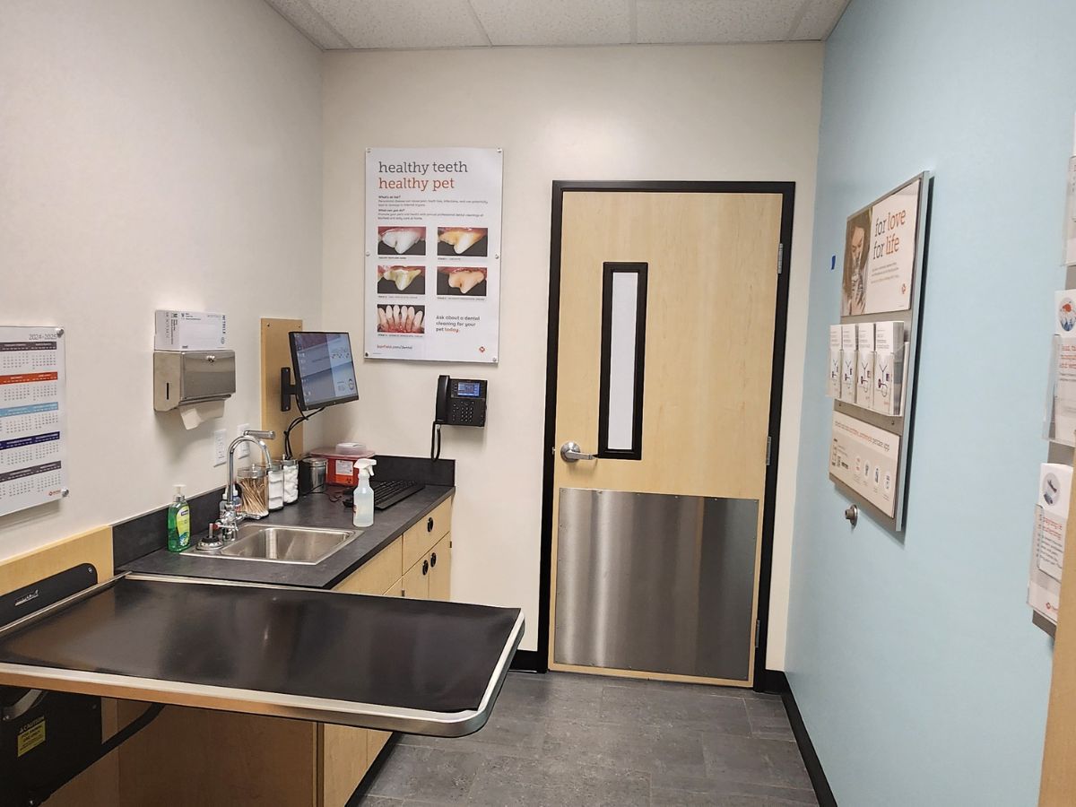 An inside look at an exam room at the Banfield Waite Park Marketplace hospital