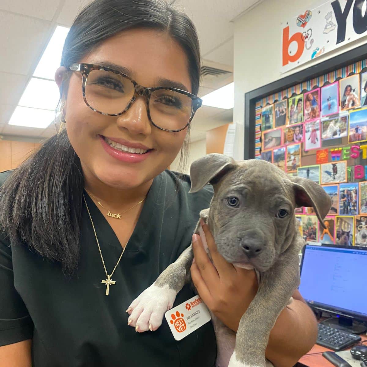 Profile picture of Ava Ramirez, Veterinary Assistant