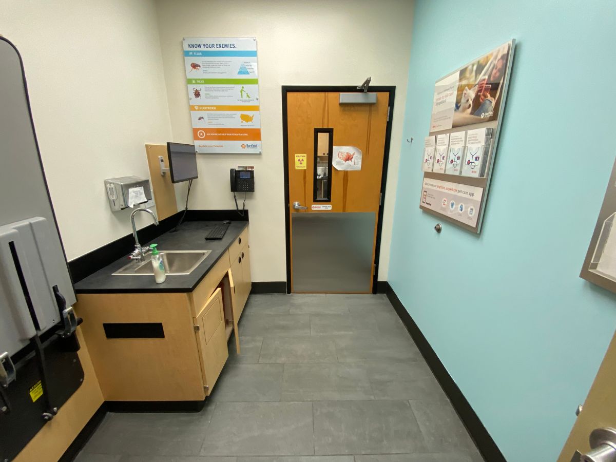 A view of a Mooresville Banfield exam room with table