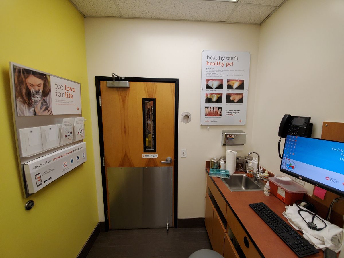 The Banfield Pet Hospital: Asheville exam room
