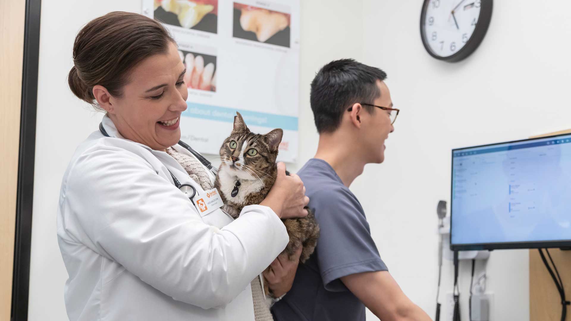 Two Banfield veterinary professionals stand in an exam room; one is holding a cat and the other is looking at a computer 