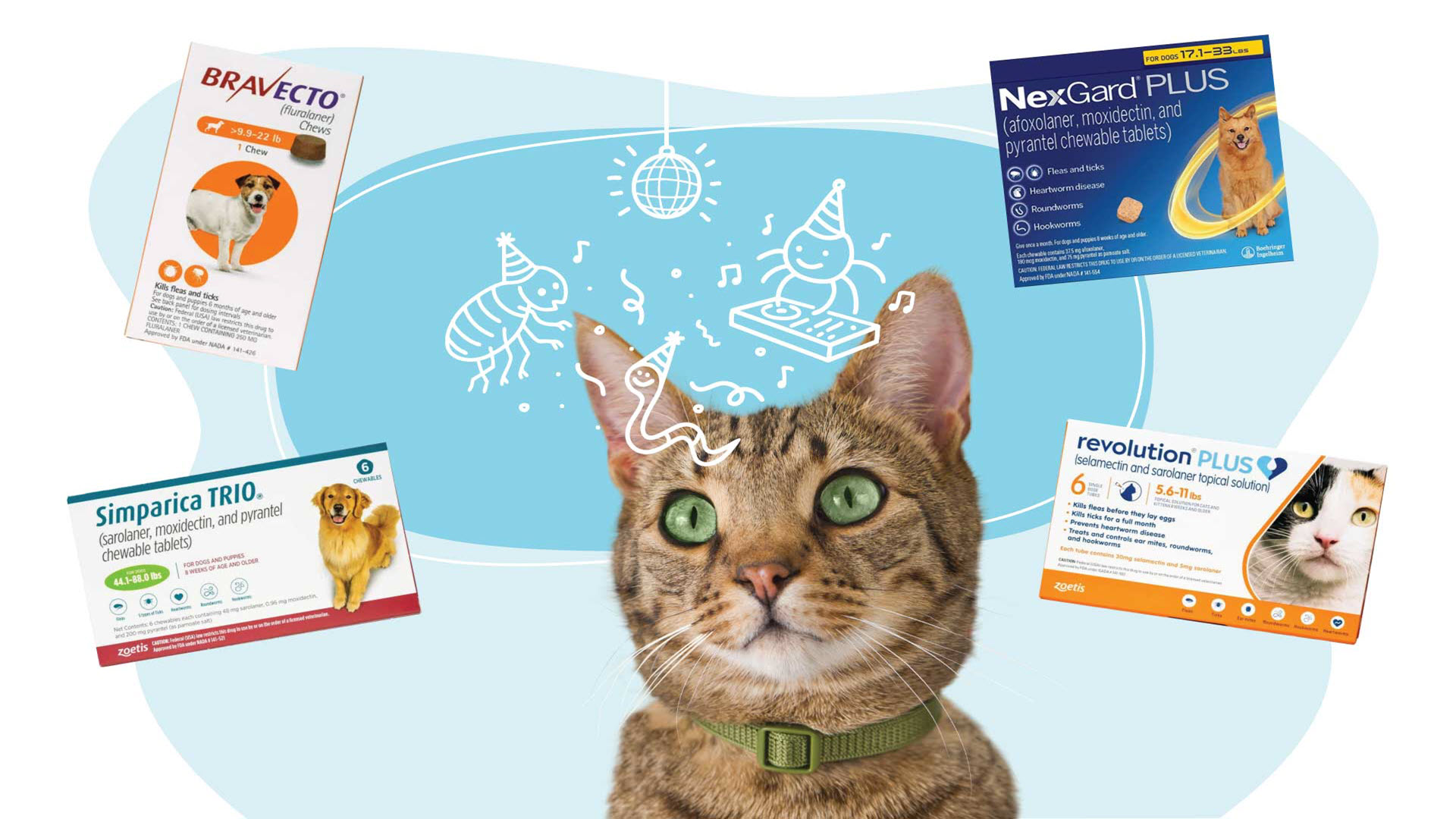 A brown Tabby cat surrounded by Banfield Shop products