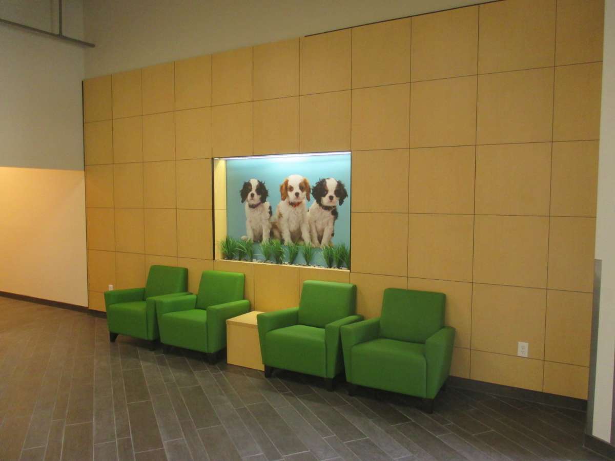 The waiting area of the Raleigh Leesville Banfield hospital