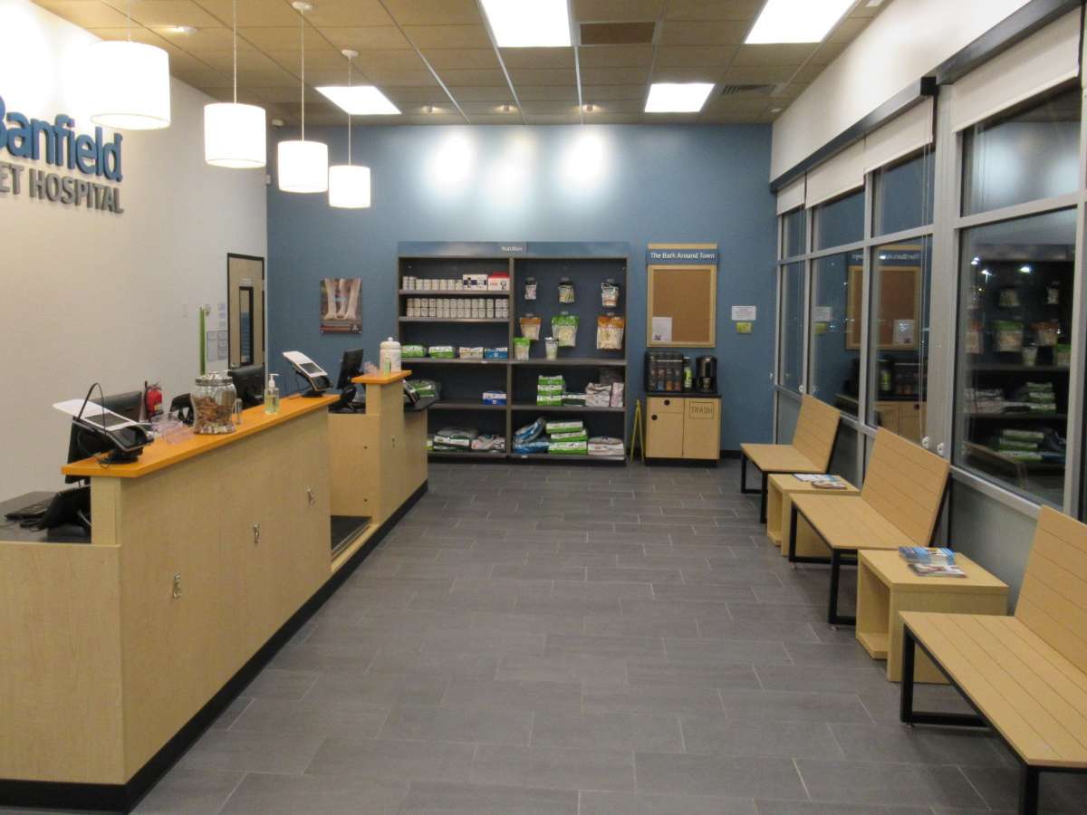 The East Raleigh Banfield front desk and front waiting area