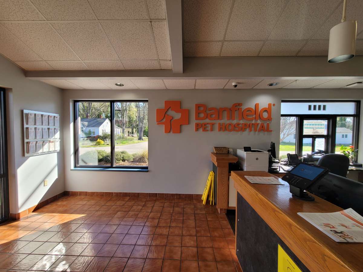 The Banfield South Ridge front desk and waiting area