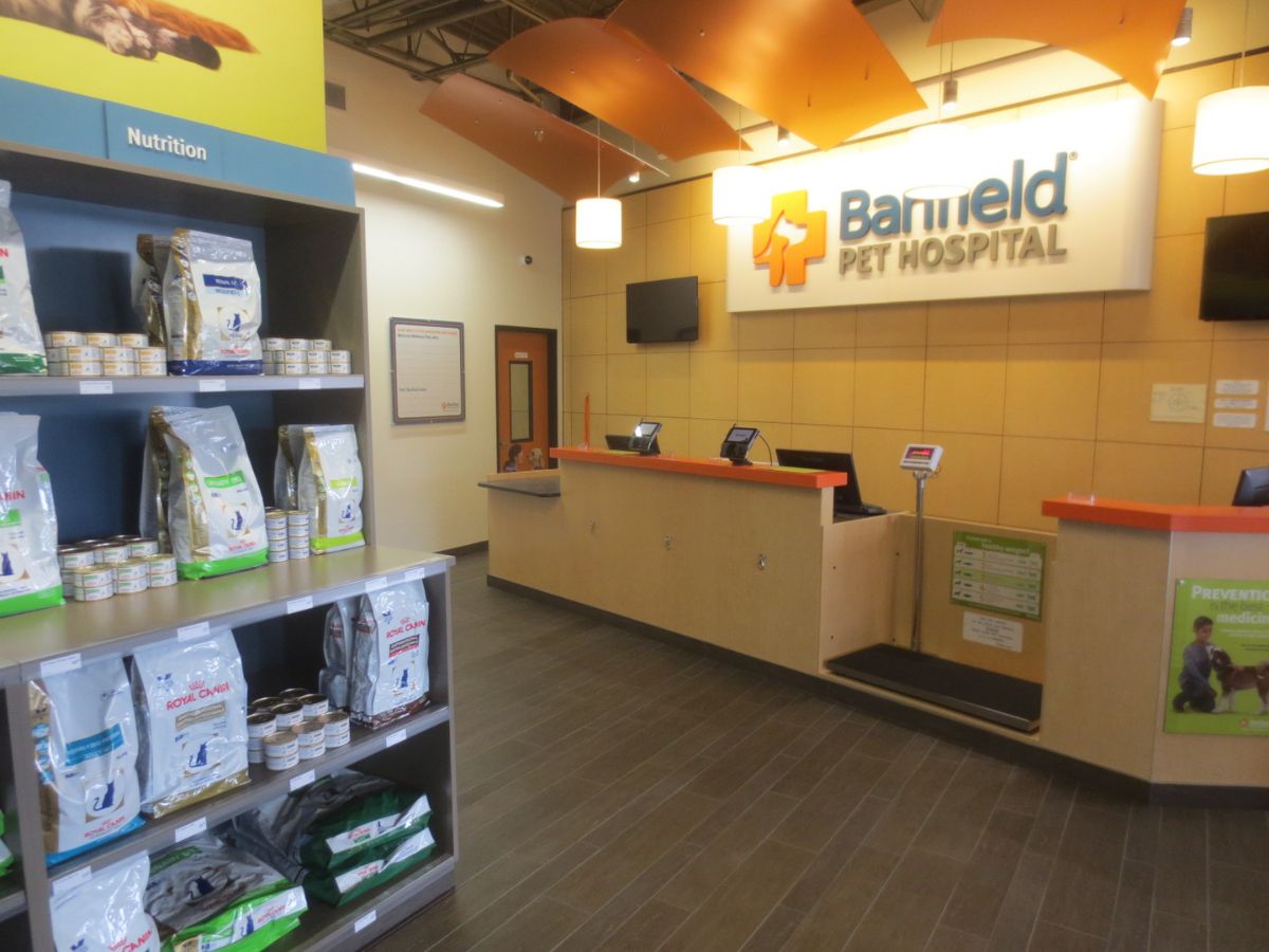 The Clifton Banfield front desk and check-in area