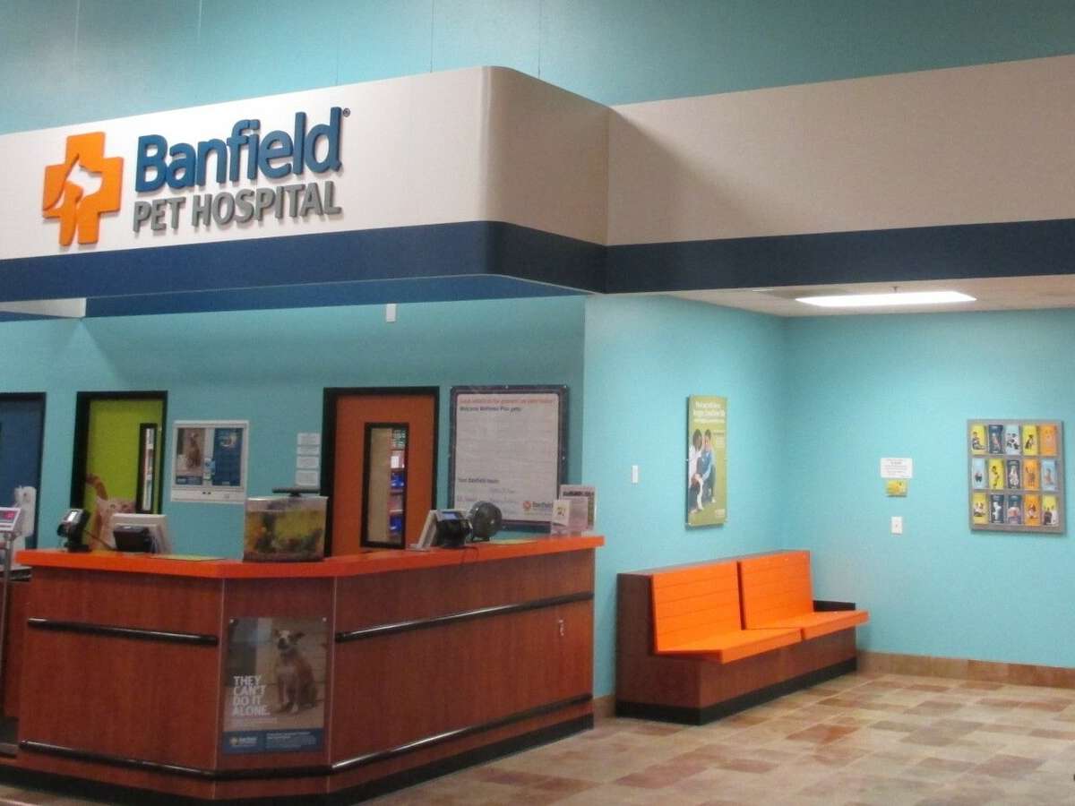 The Columbia Harbison Banfield and PetSmart waiting room and exam room doors