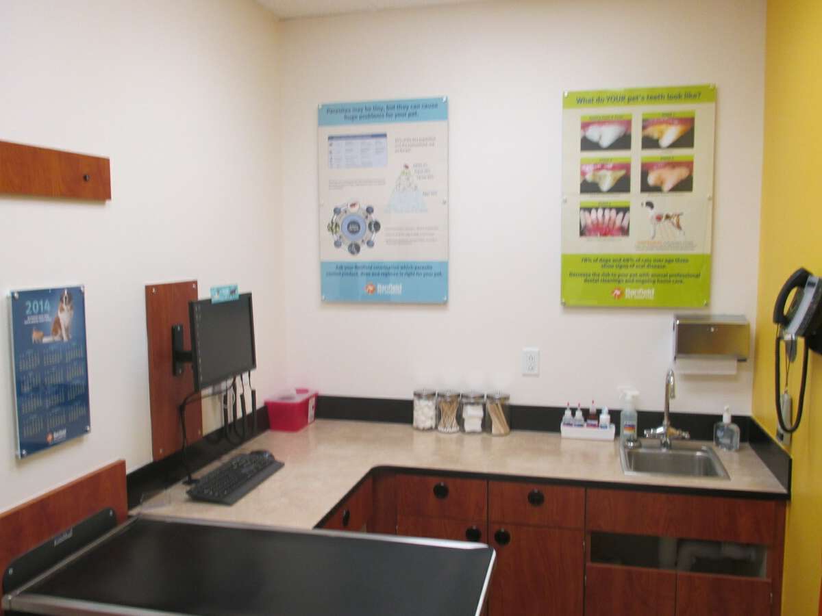 An inside view of the Greenville Banfield hospital exam room