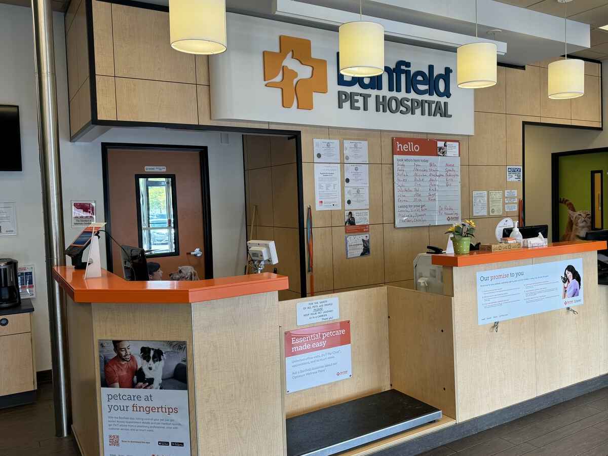 The Summerville S Banfield hospital front desks