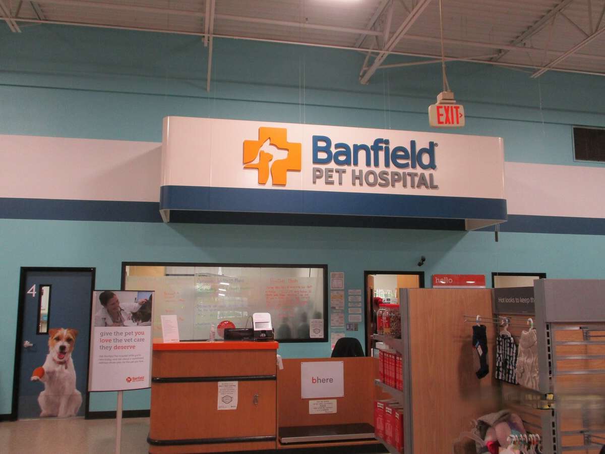 The Vacaville Banfield front desk and the check-in area