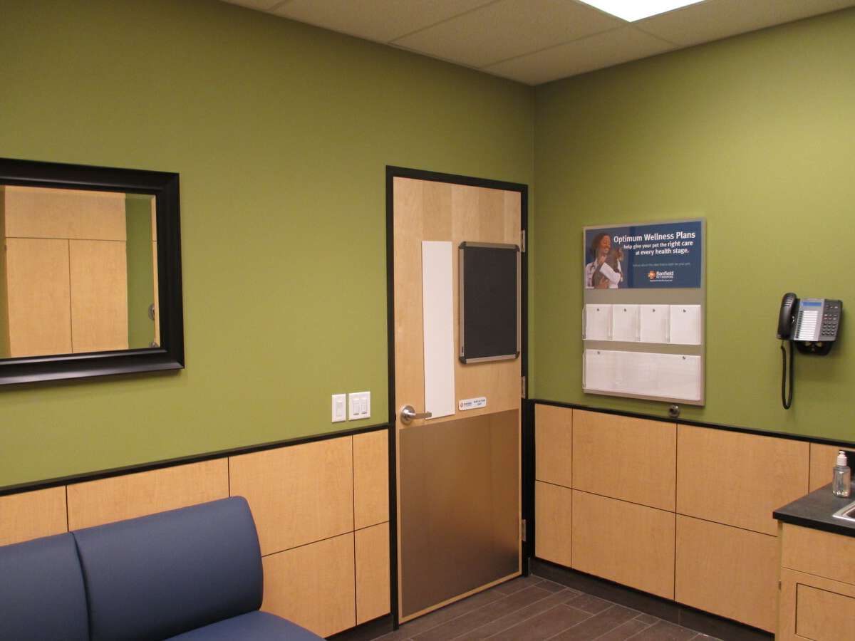 An alternate view of the Fair Oaks Banfield hospital exam room