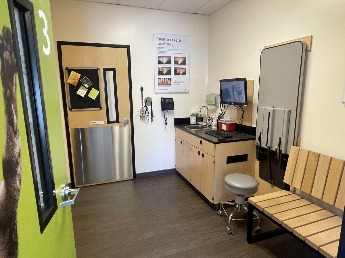 An alternate view of the Antelope Banfield hospital exam room