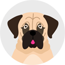 An illustrated icon of a Mastiff