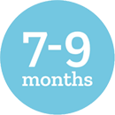 Icon indicating 7-9 months age range