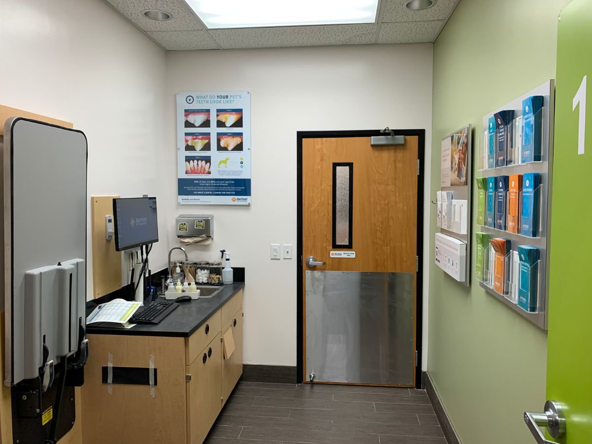 Another view of the Banfield Pet Hospital - Austin SE exam room