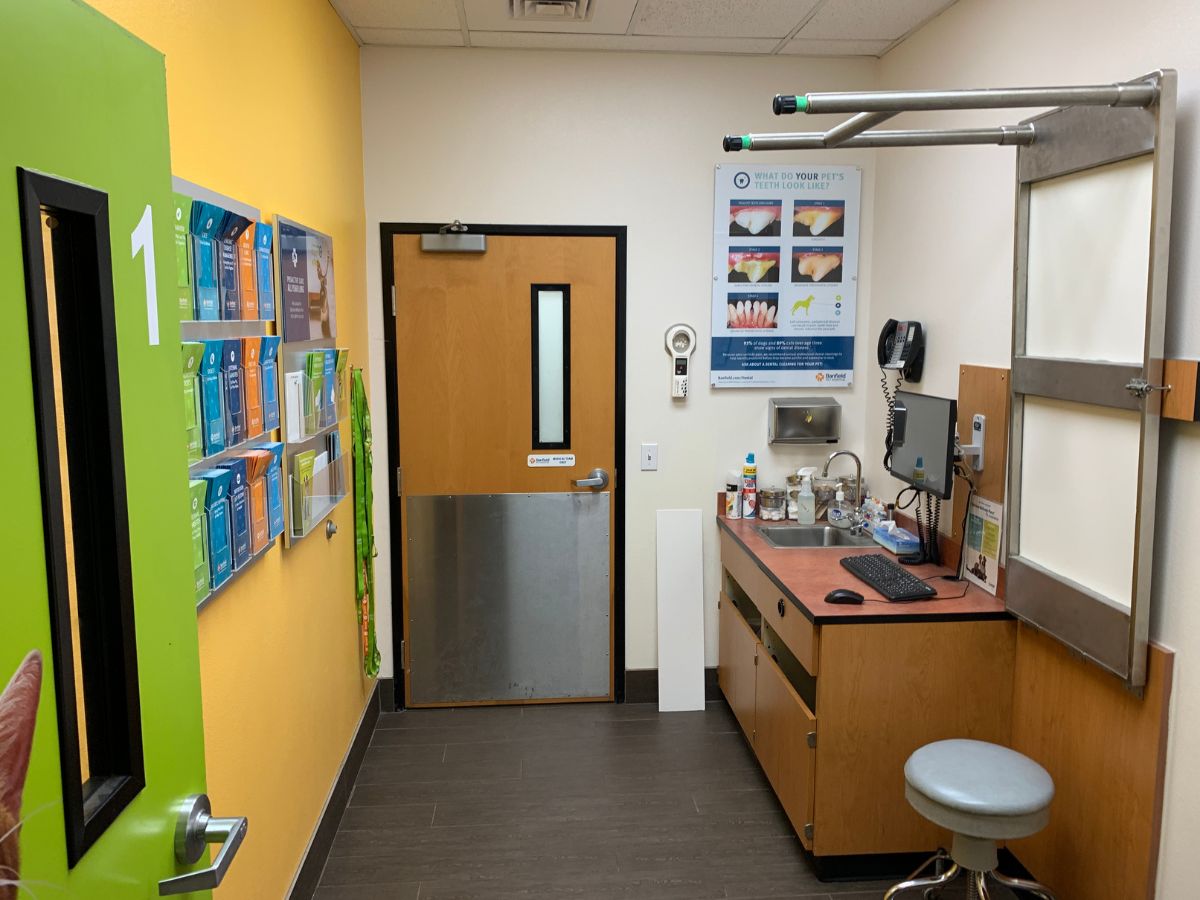 Another view of the Bee Cave Banfield exam room