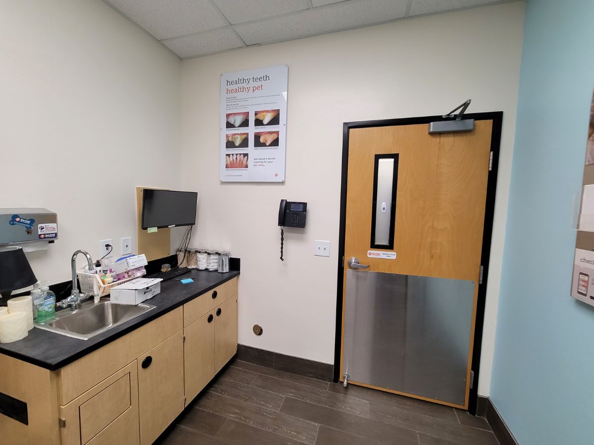The Banfield Pet Hospital - Austin-Mueller exam room