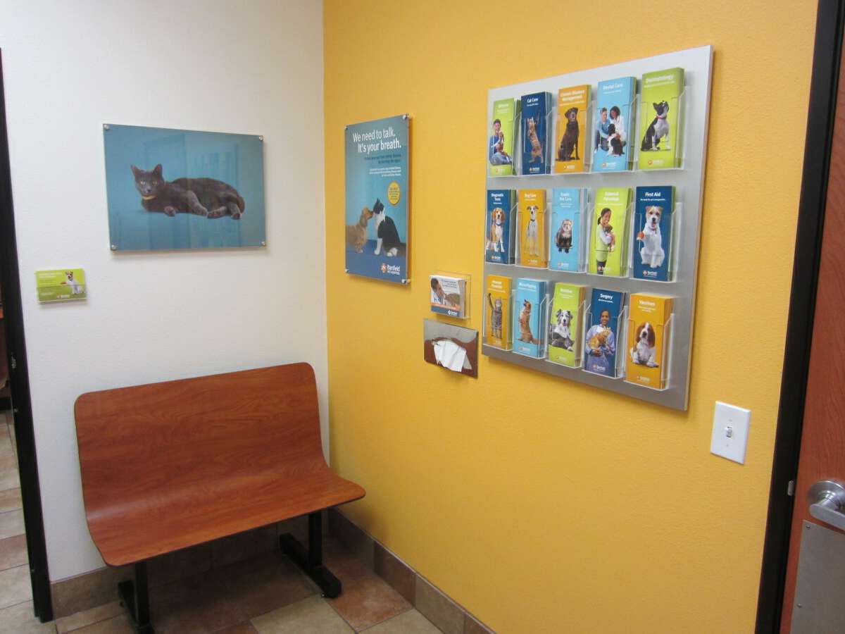 An alternate view of the Glendale Banfield exam room