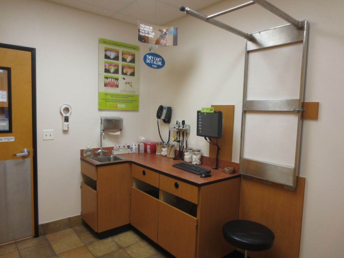 The Banfield - Plainfield Naperville exam room