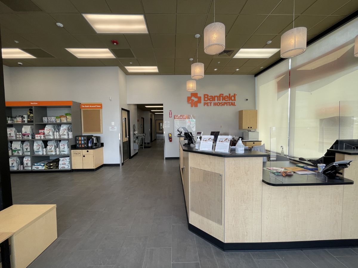 The lobby and front desk at the Banfield Chicago South Loop hospital