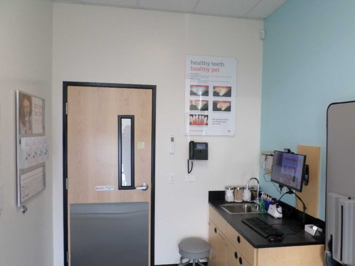 An alternate view of the Banfield - Chicago Brickyard hospital exam room