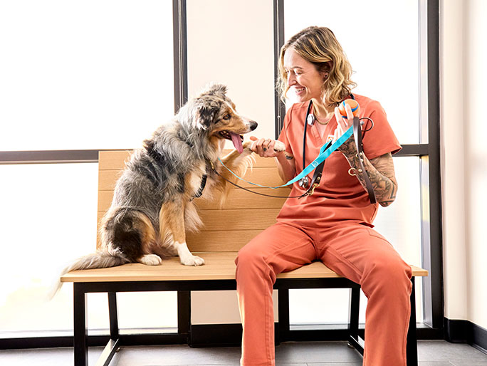 A Banfield veterinary professional and a fluffy dog sit on a bench