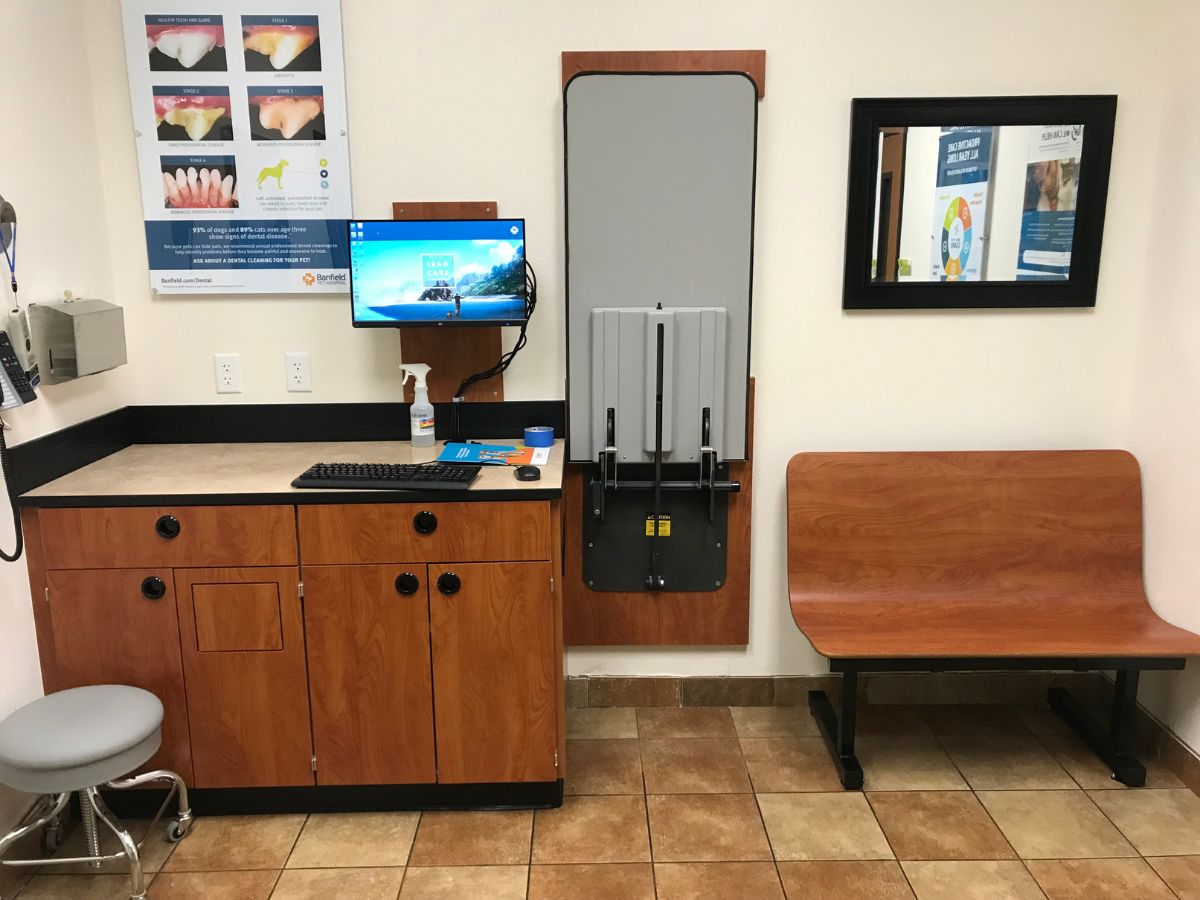 Inside view of the Greensburg Banfield exam room