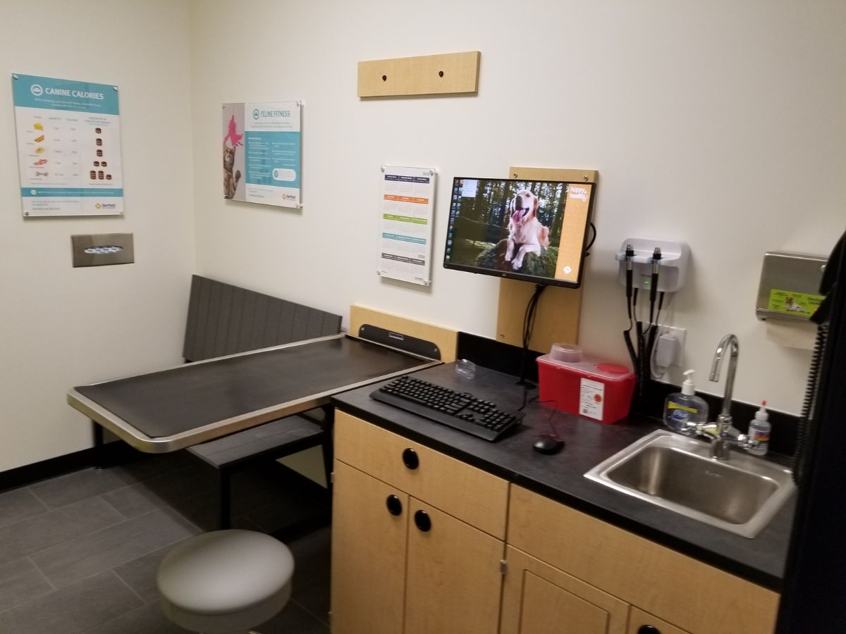 Another view of the Caste Village Banfield exam room