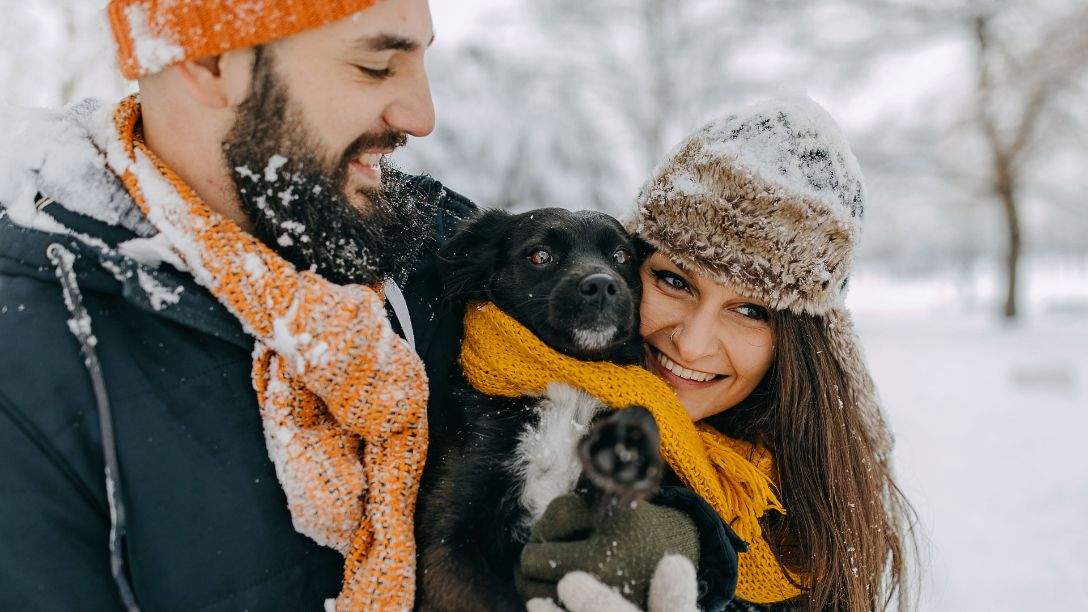Small dog in snow with pet owners 