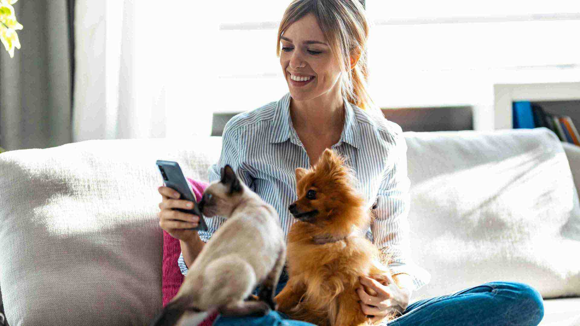 The Banfield Shop has good things for you and your pet