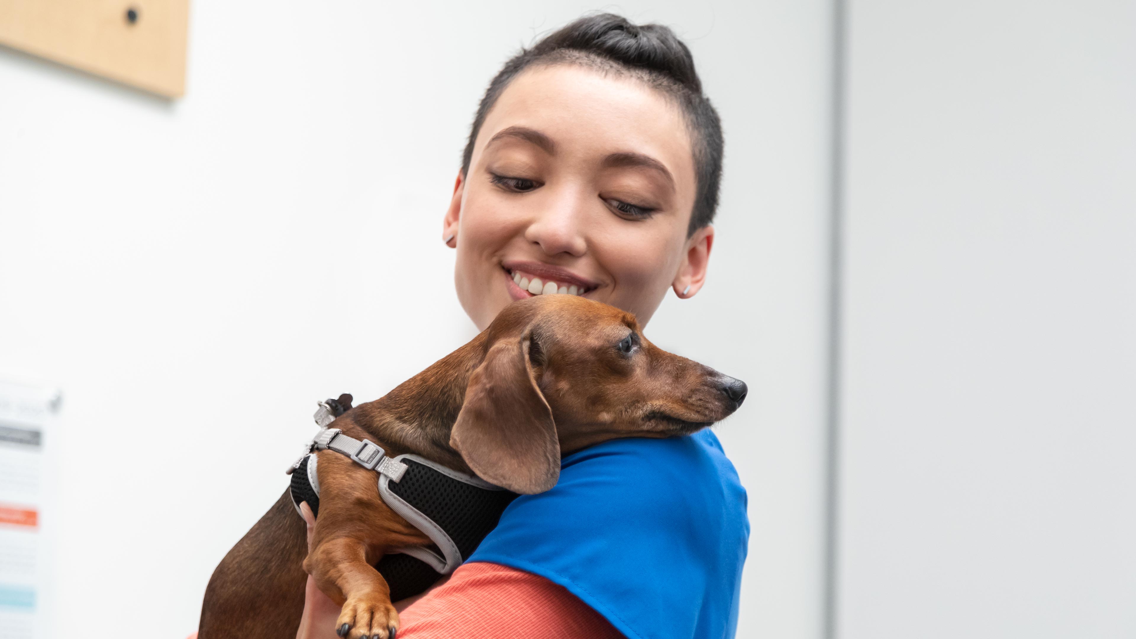 CVT holding a small dog in a veterinary hospital 
