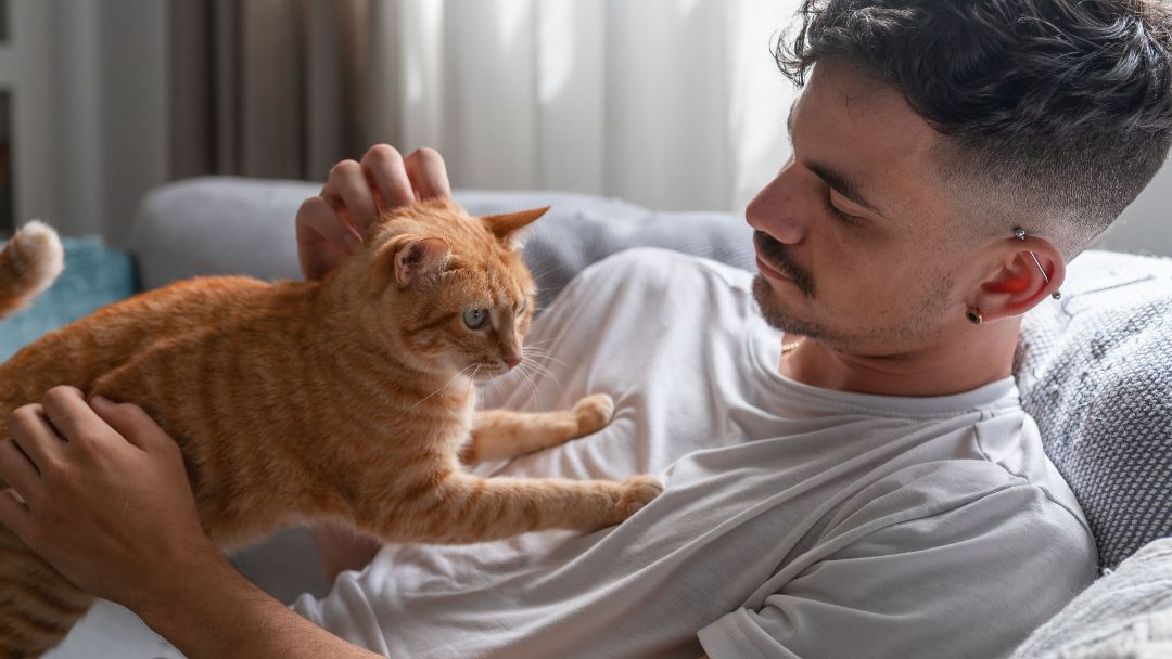 Cat and pet owner on couch