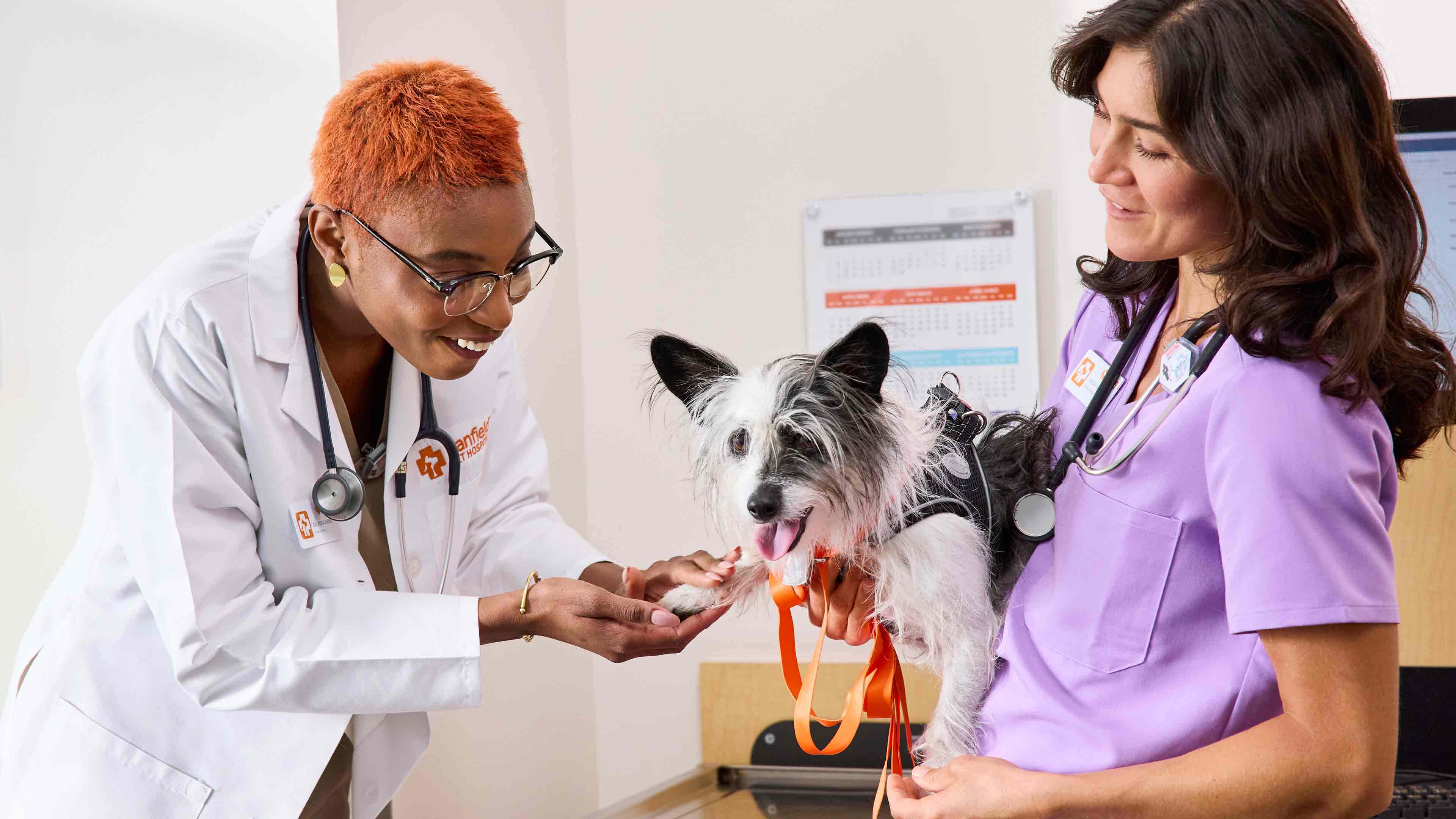 Women's History Month at Banfield