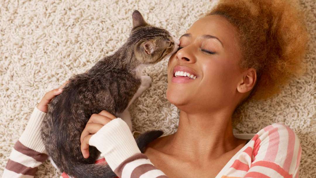 Kitten and owner playing on the floor