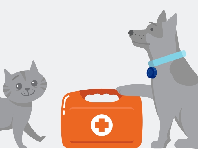 Illustration of a cat and dog by a first aid kit