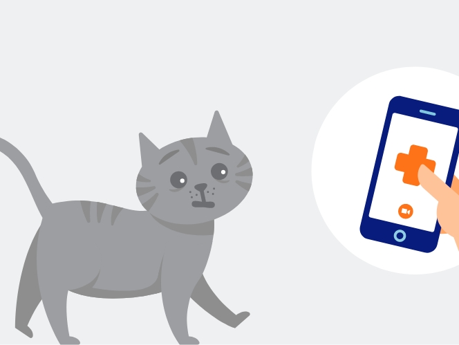 Illustration of a cat looking at a phone